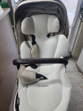 오이스터 이미지