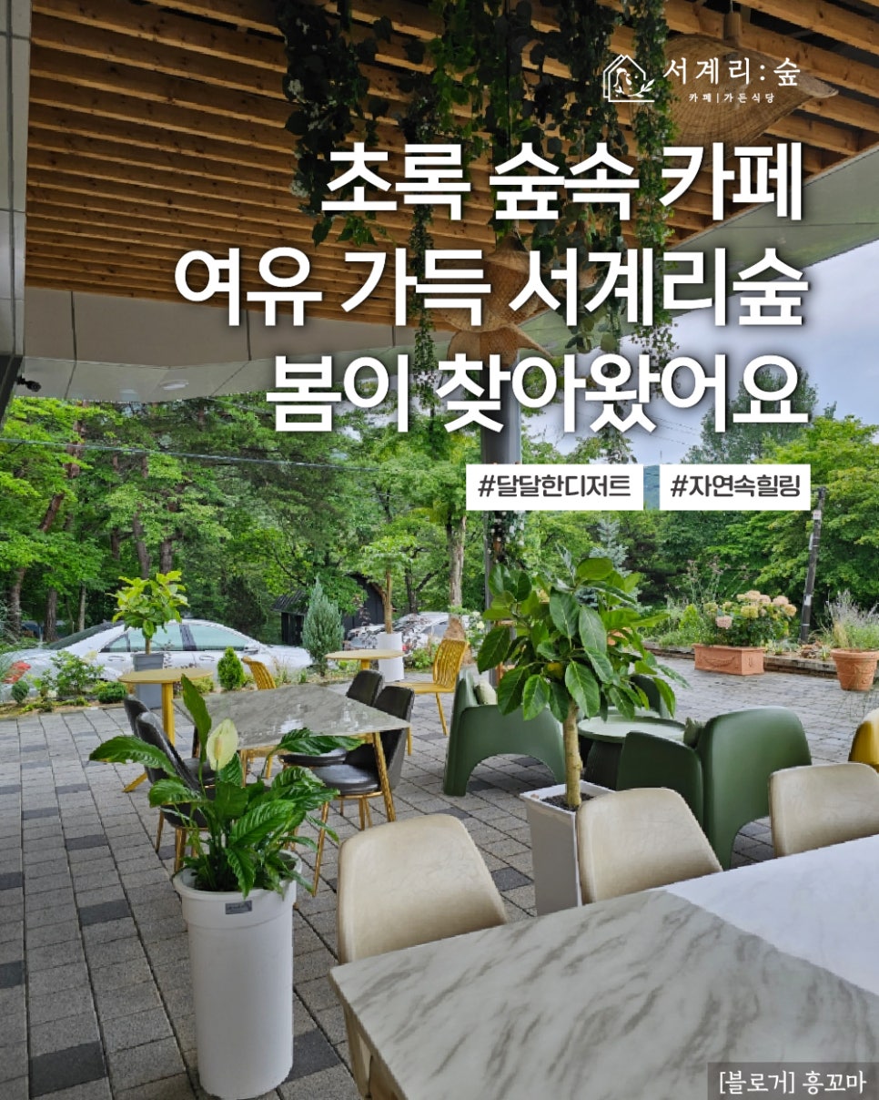서계리숲 이미지