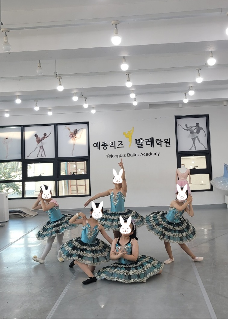 예종리즈발레학원 이미지