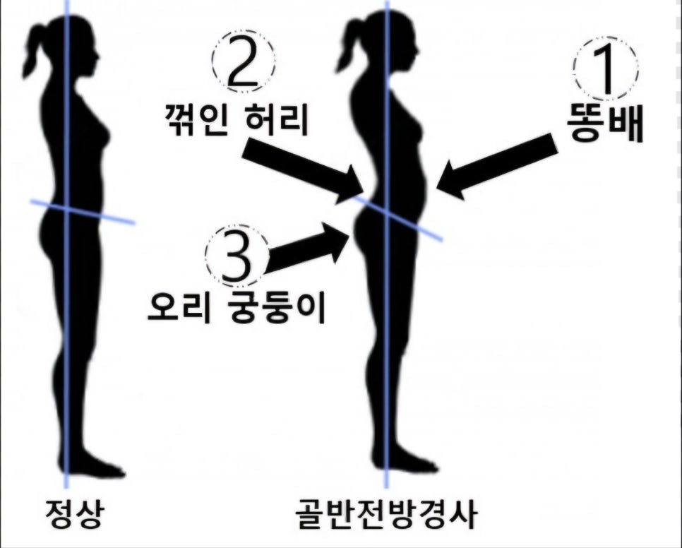 택짐피티샵 이미지