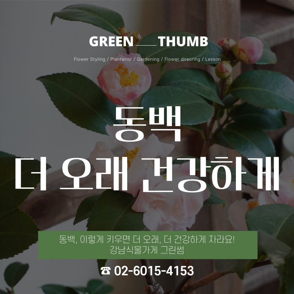 더그린썸 이미지