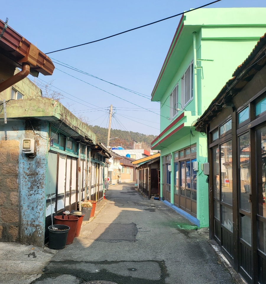 노화상회 이미지