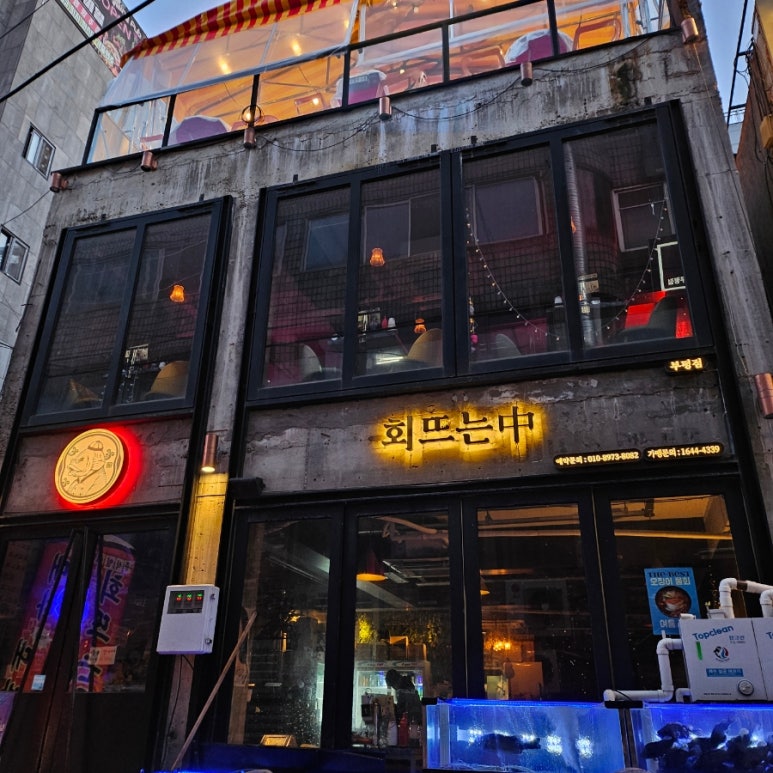 회뜨는중 이미지
