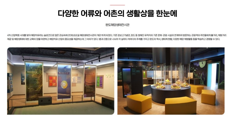 바다숲 풀내음 이미지