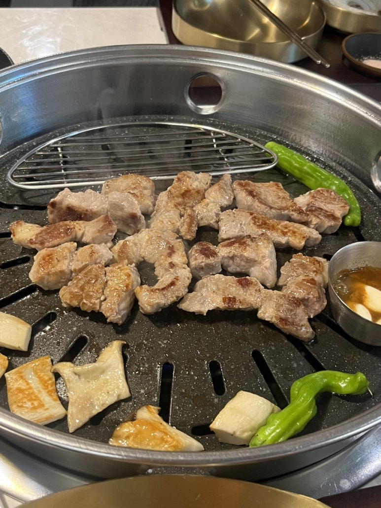 주니코기 이미지