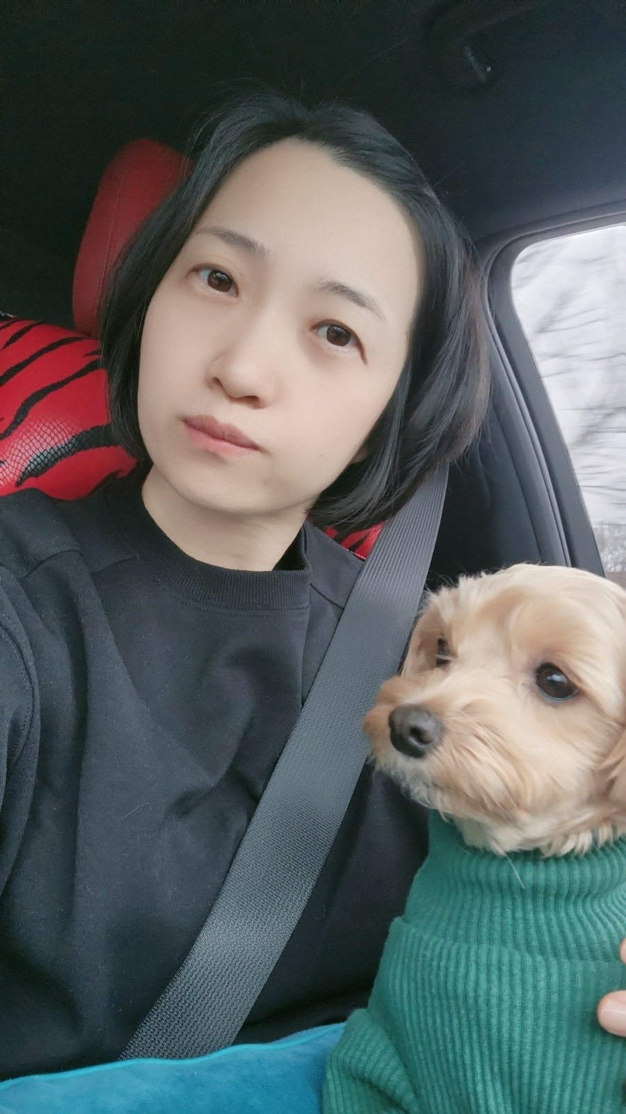 마이빅트리 이미지