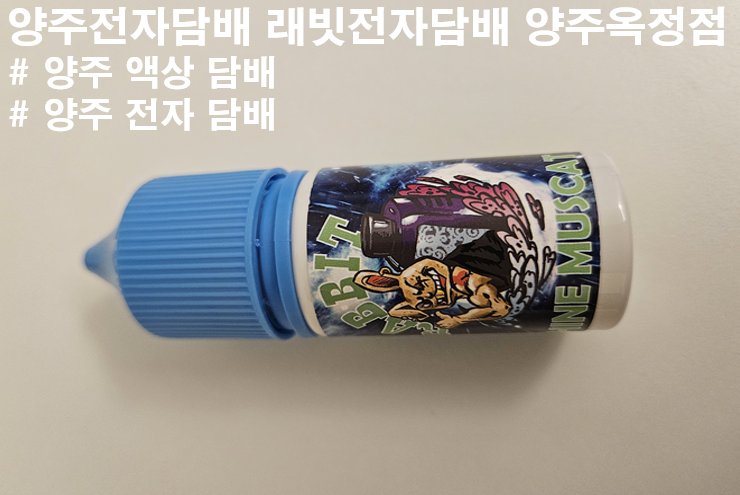 래빗 전자담배 양주옥정점 이미지