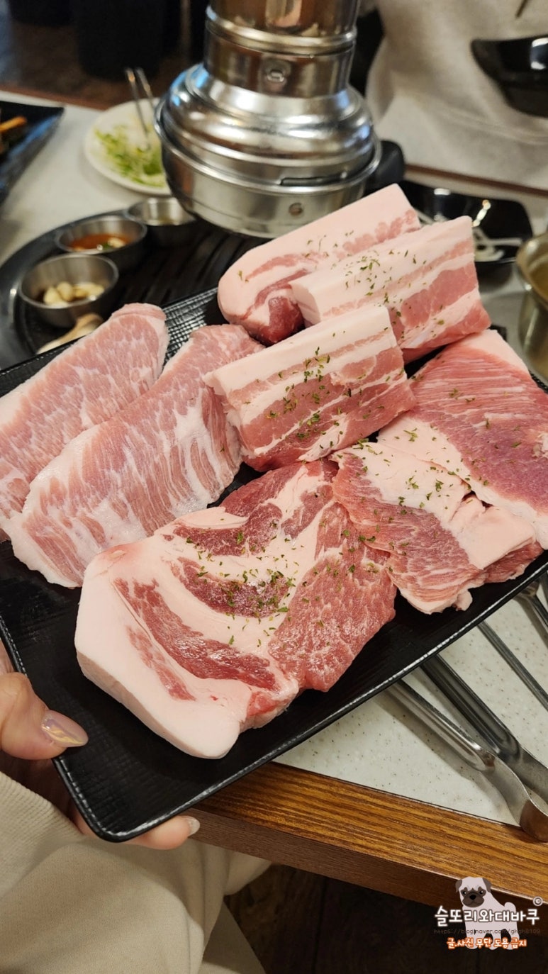 달동돼지달돈 이미지