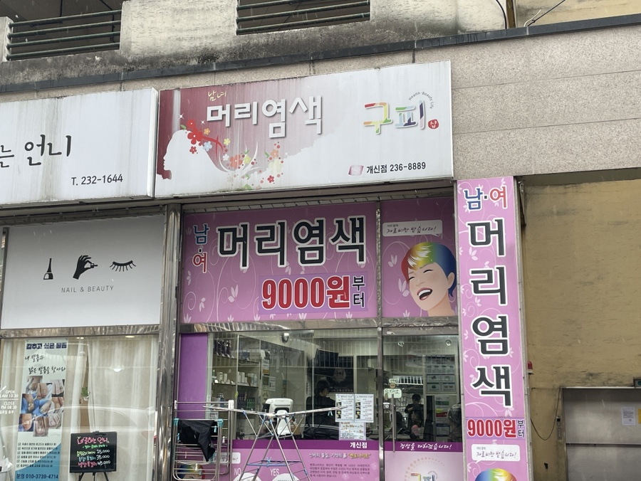 구피샵청주 이미지