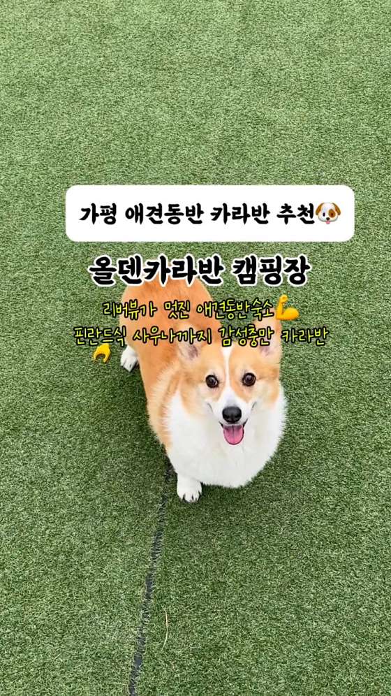 올덴캠핑장 이미지