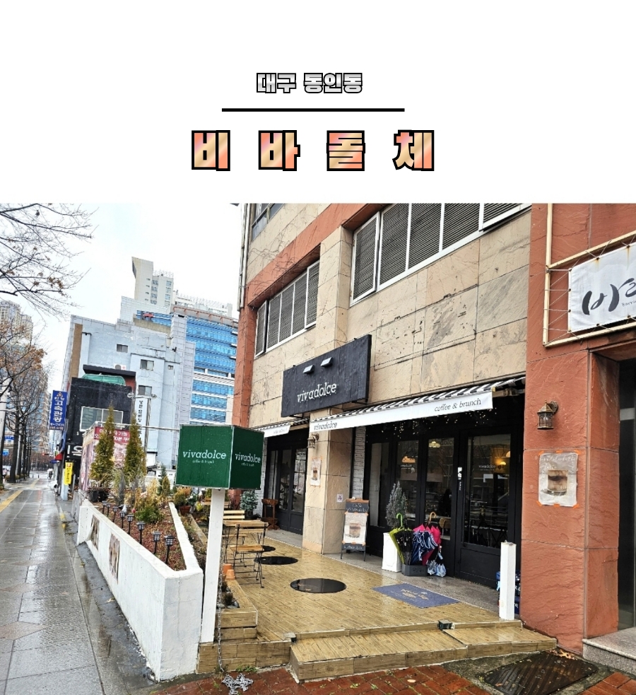 비바돌체 이미지
