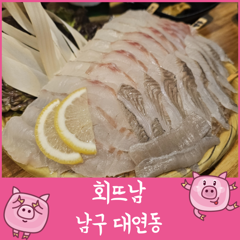 회뜨남 이미지
