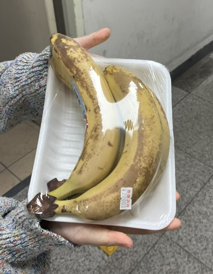 백마오피스 이미지