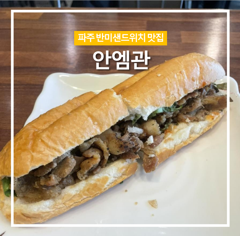 안엠관 이미지