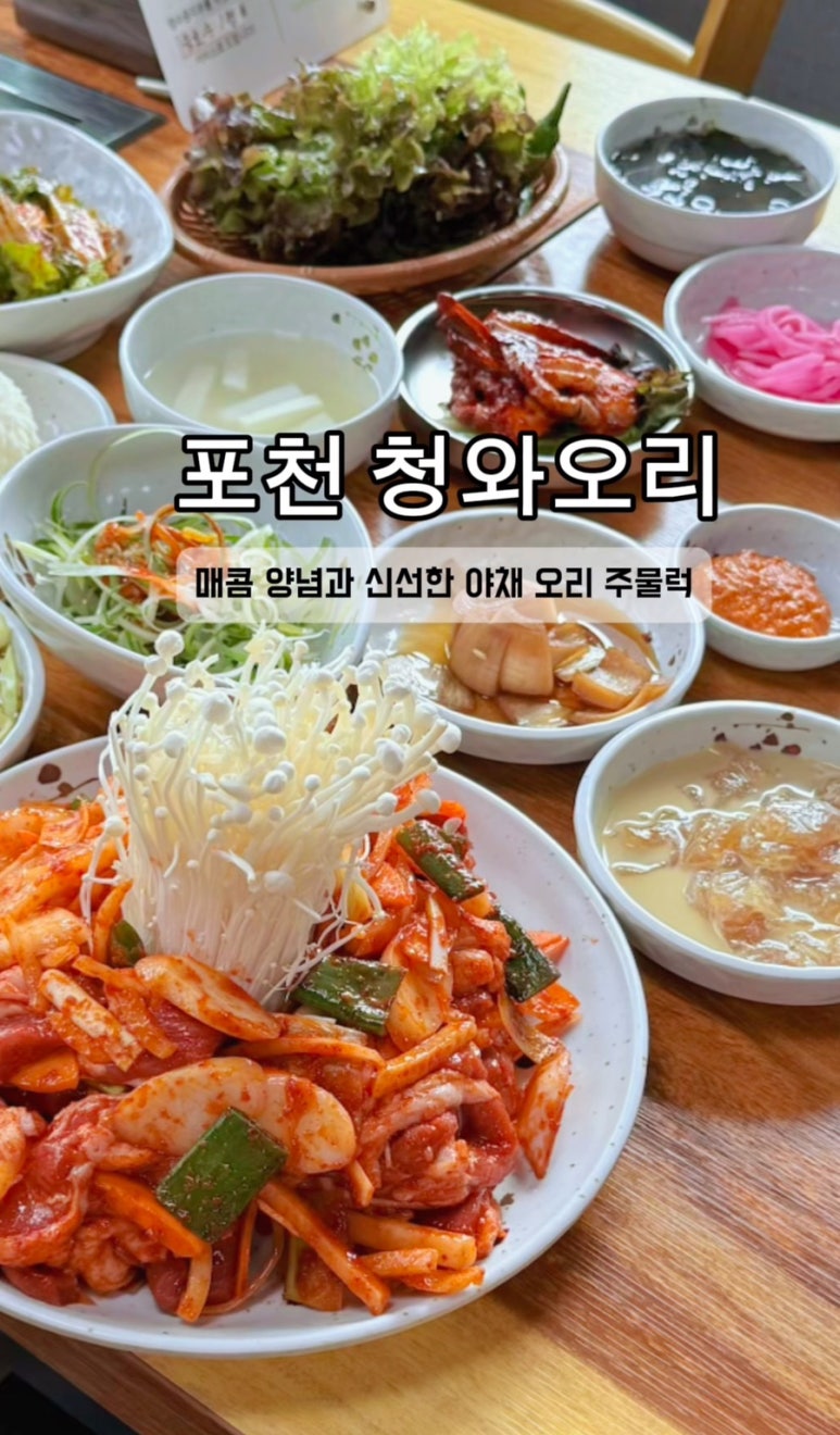 청와오리 이미지
