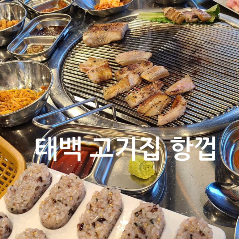 항껍 이미지