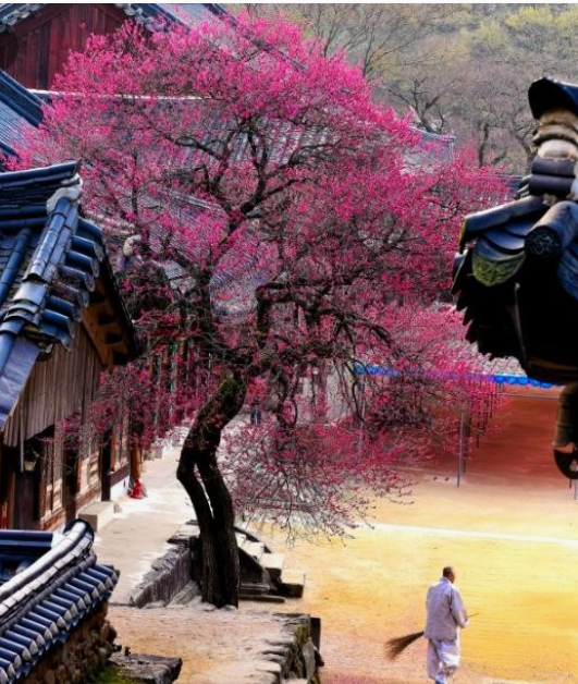 구례지리산리조트 이미지