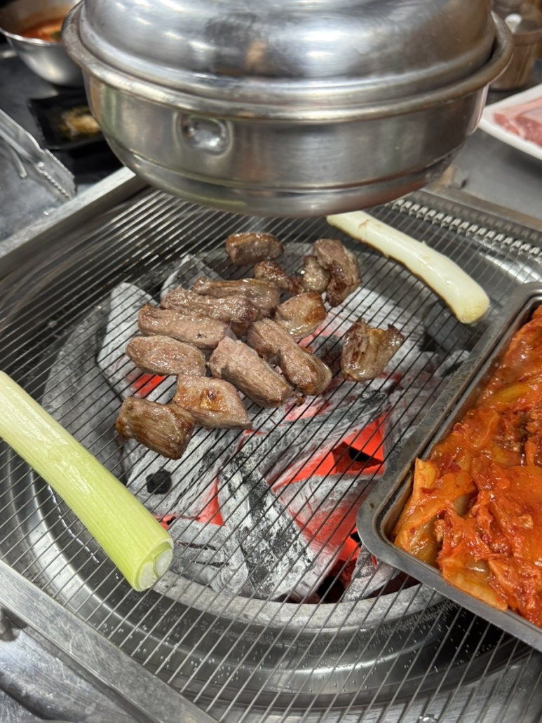 동부갈매기 이미지