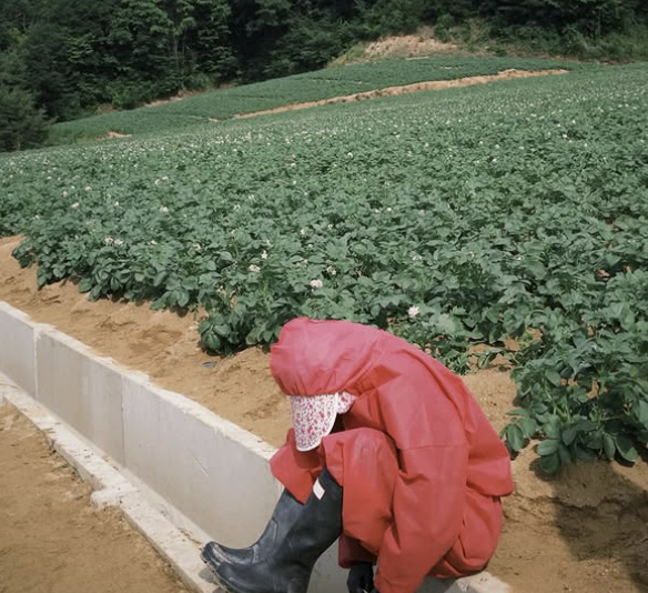 좋은풍경연구소 이미지