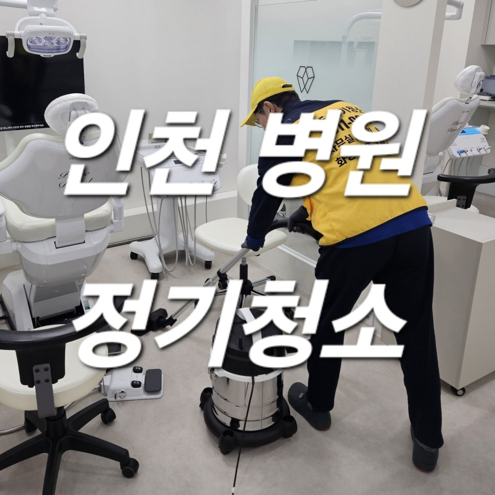 돌핀크린 이미지