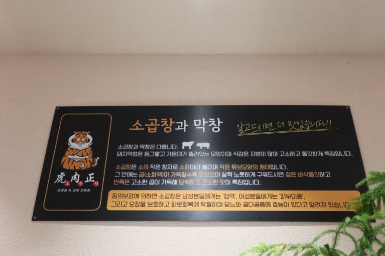 호육정 이미지