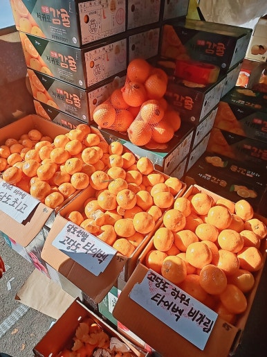 싱싱농수산물 이미지