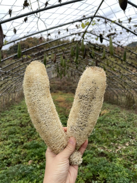 밝은공방 이미지