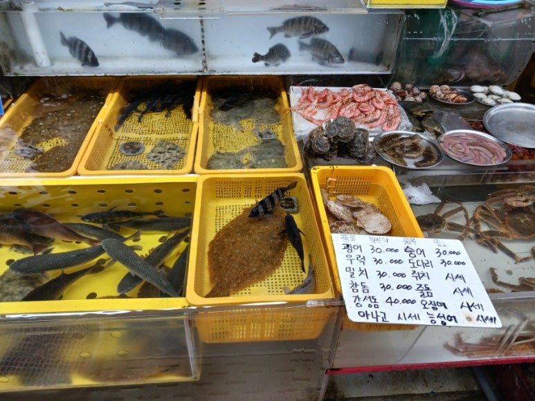 보성상회 이미지
