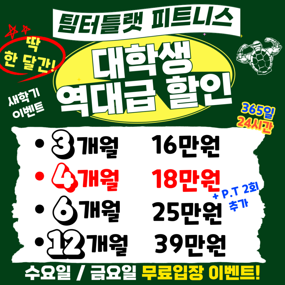 팀터틀랫유성 이미지