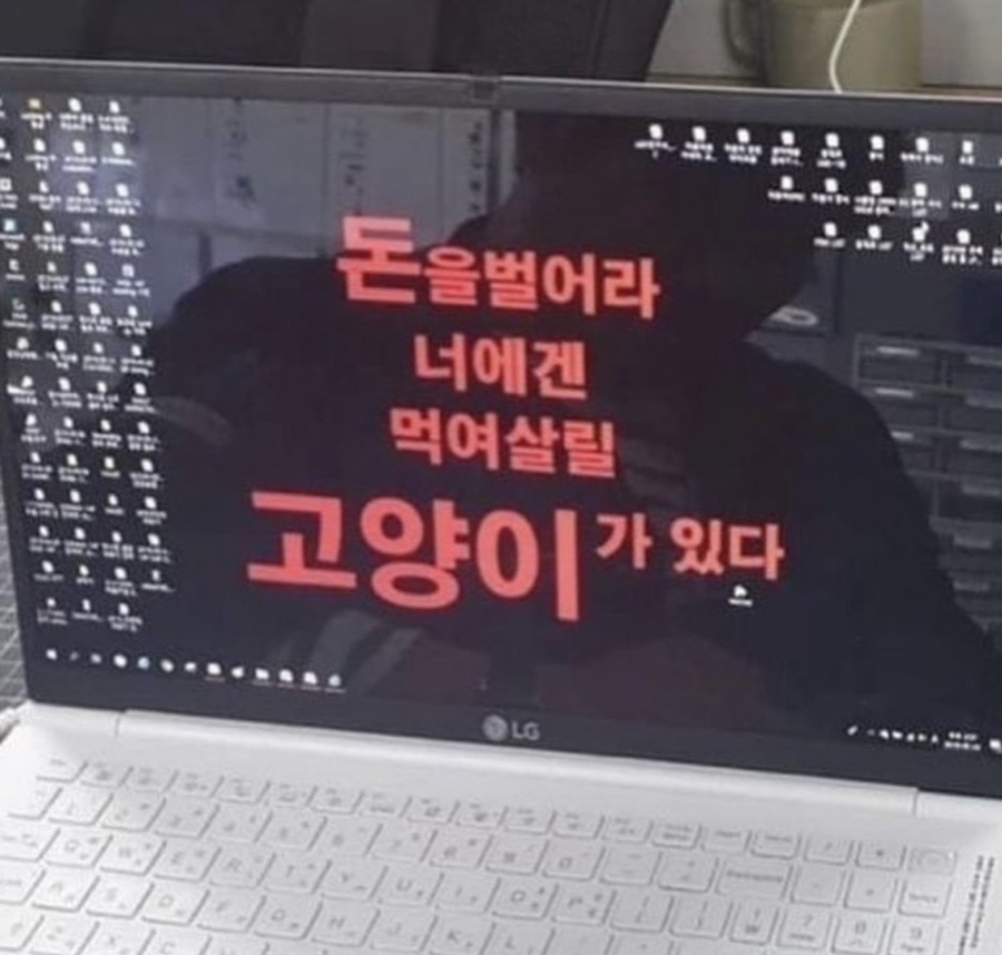 호담 이미지