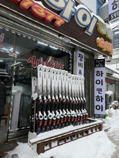 강원하이렌탈 이미지