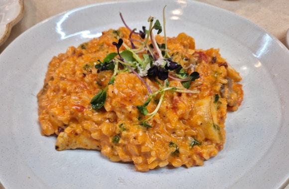 크립토마토 이미지