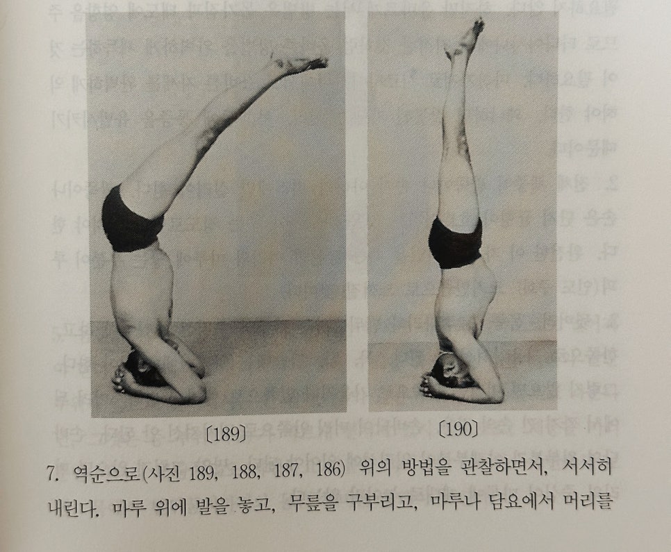 코어클래스 이미지