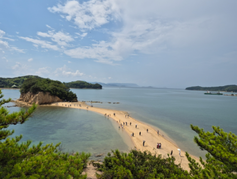스시올리브 이미지