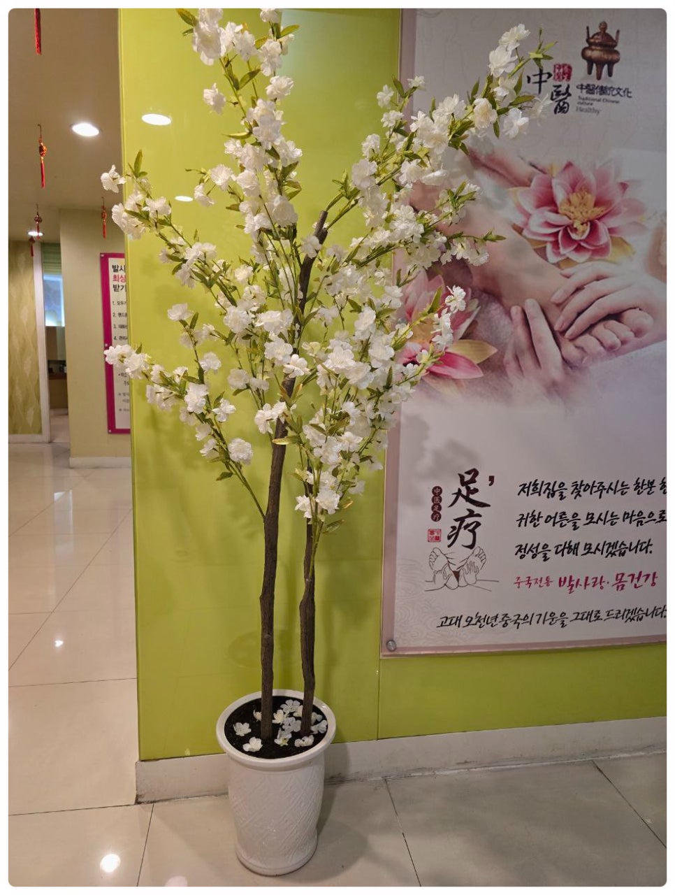 발사랑 이미지