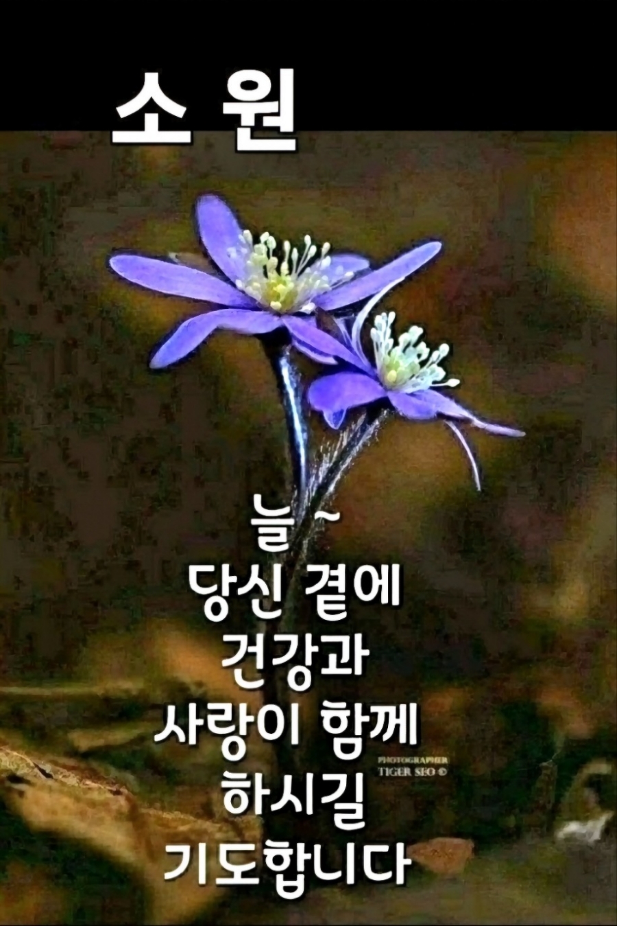 대성종합중기 이미지