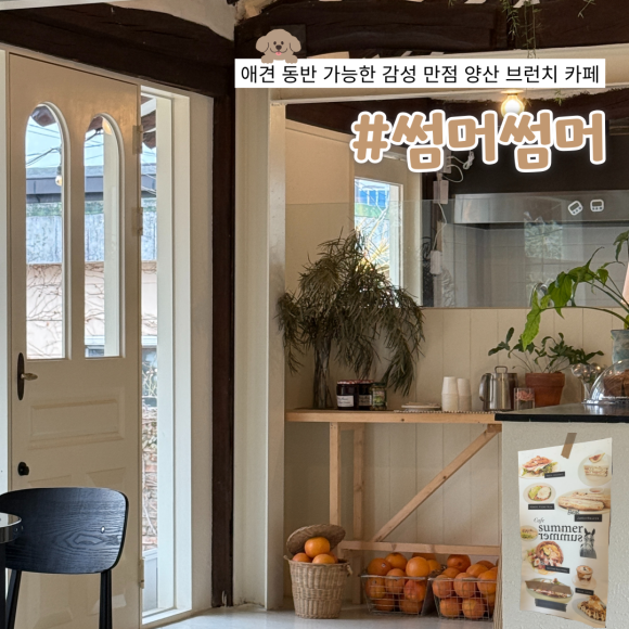 황산애견 이미지
