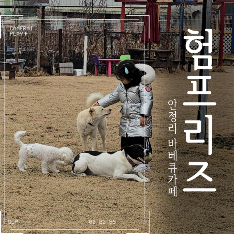 카페험프리즈 이미지