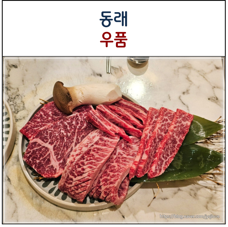 우품 이미지