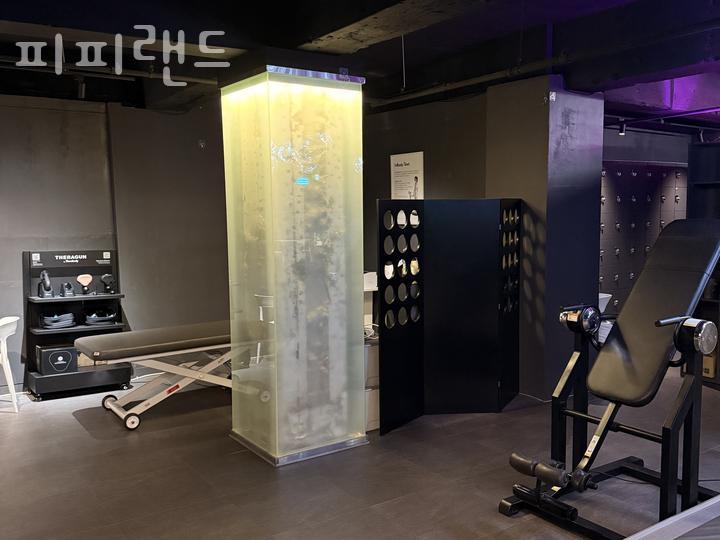 피피랜드 이미지