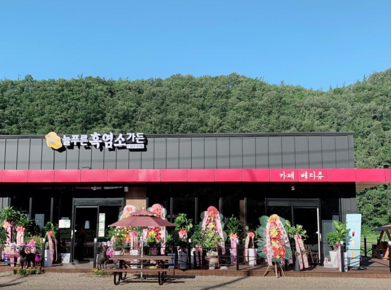 늘푸른 흑염소가든 보성본점 이미지