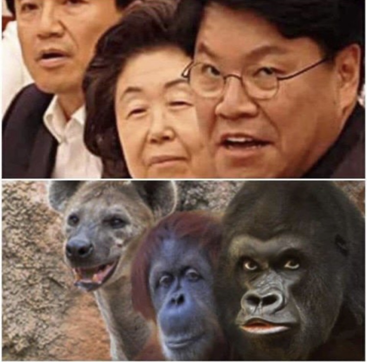 여비서 이미지