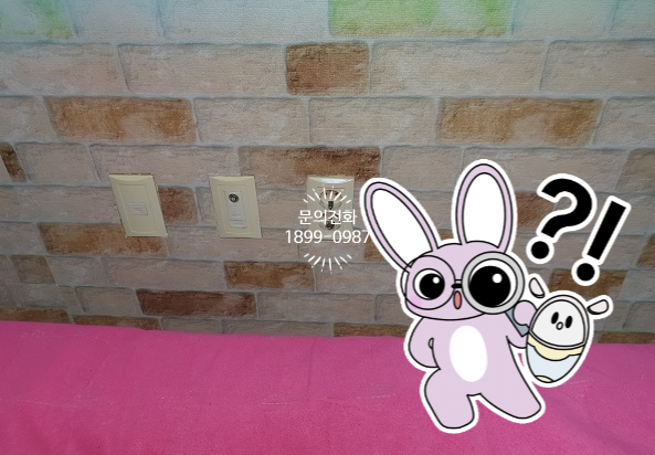 신흥전파사 이미지