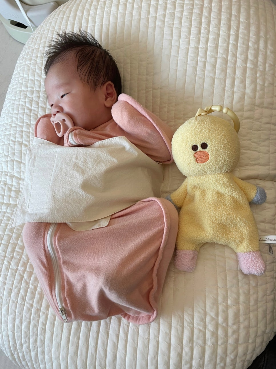 티지엠 이미지