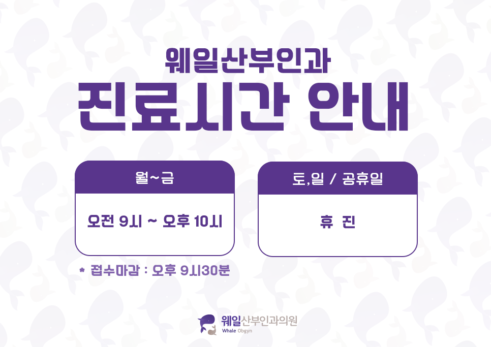 제이웨일 이미지