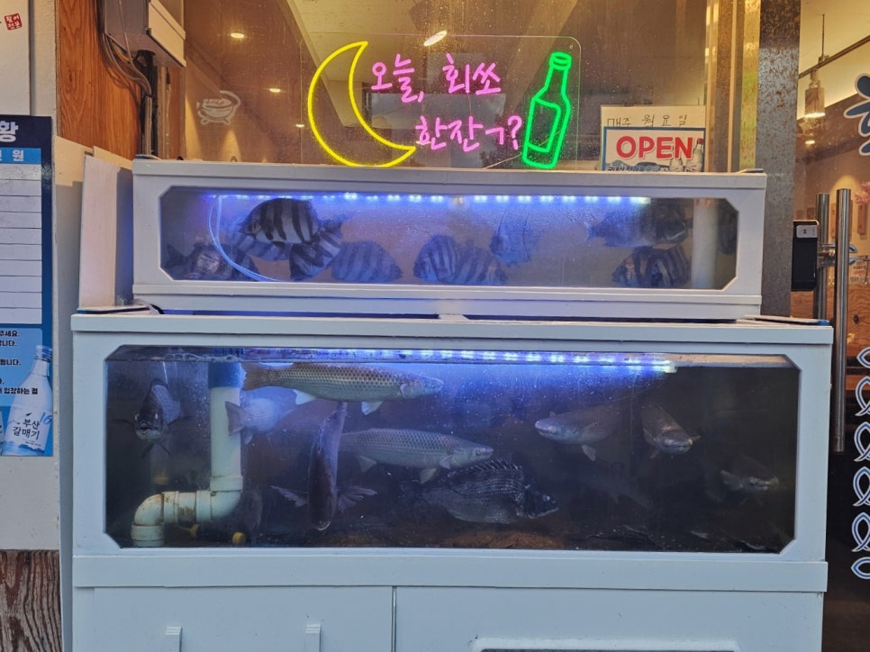 회뜨남 이미지