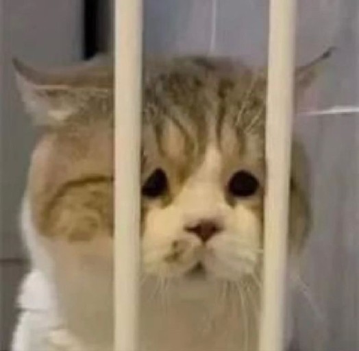 힙카롱 이미지
