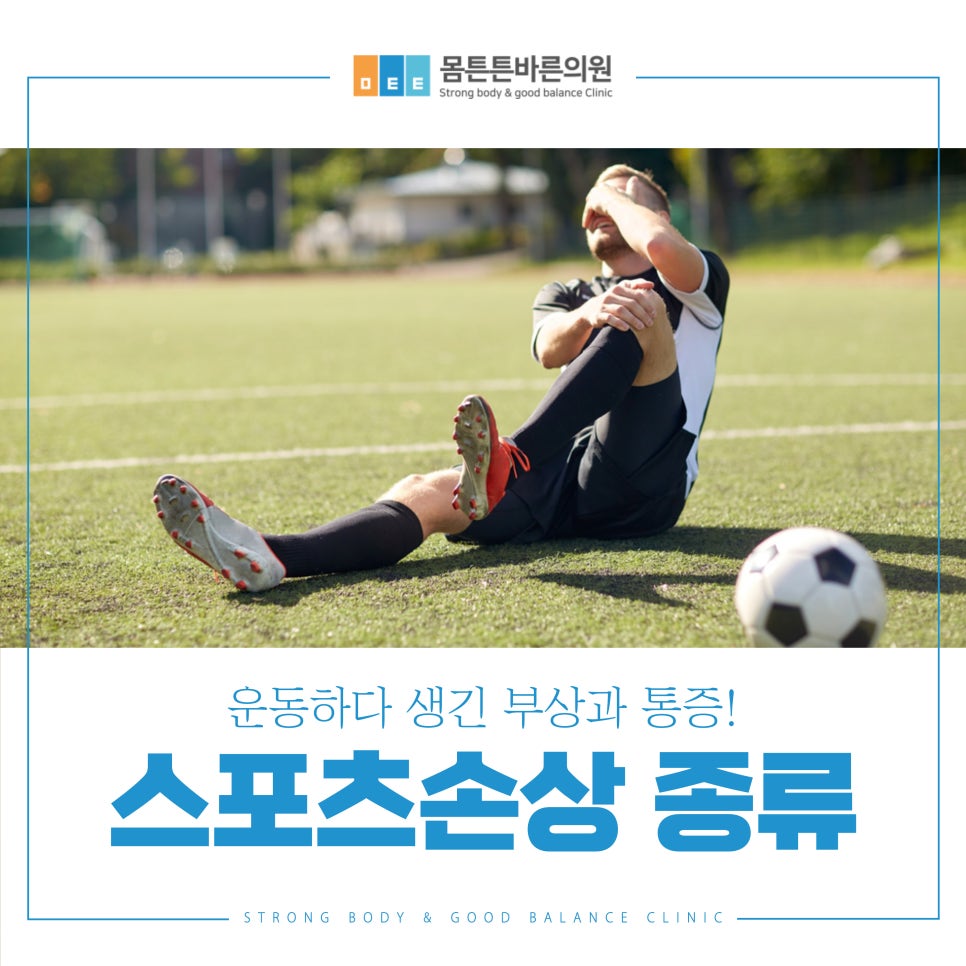 엘리트안전스포츠 이미지