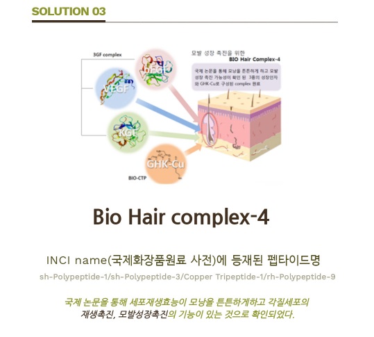 바로티나 이미지