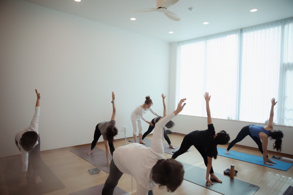 고우스튜디오 이미지